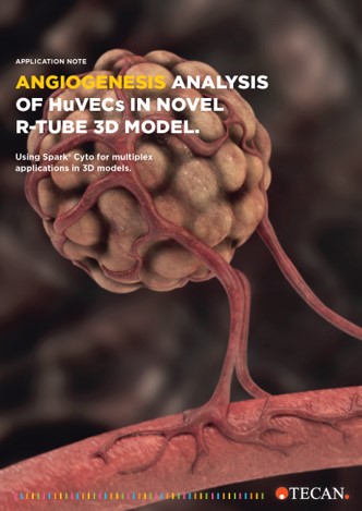 【アプリケーションノート】Rチューブ3D モデルにおける HuVEC の血管新生解析