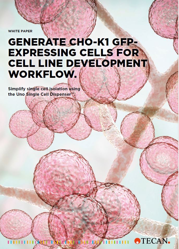 【ホワイトペーパー】細胞株開発ワークフローにおけるCHO-K1 GFP発現細胞の生成